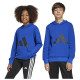 Adidas Παιδικό φούτερ Essentials Big Logo French Terry Hoodie